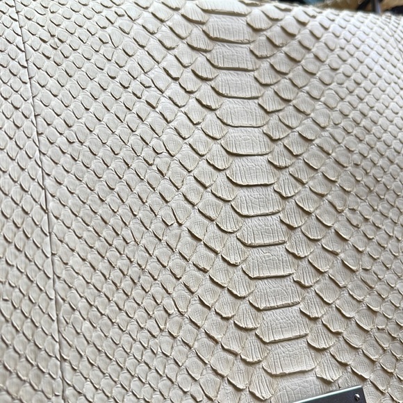 Celine Trapeze Python - Picture 5 of 12